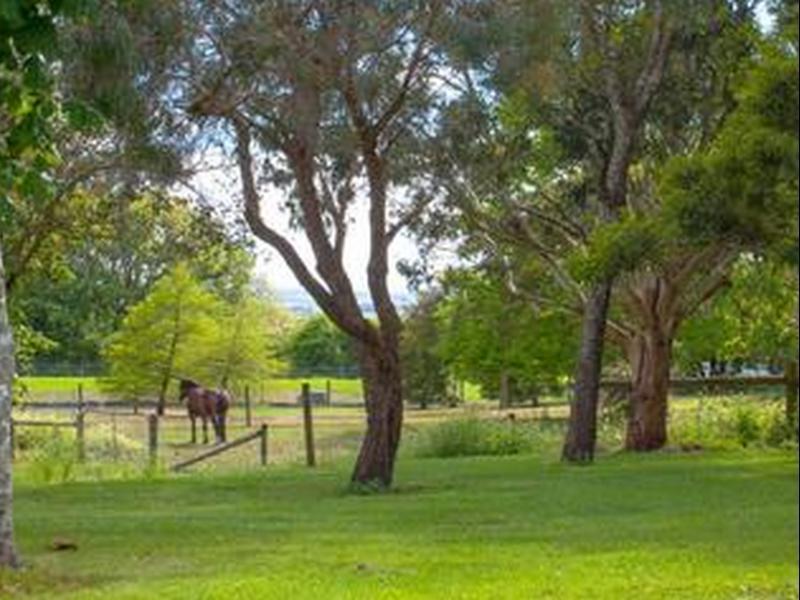 Lakes And Craters Holiday Park Camperdown Exterior photo